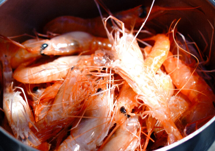 yamamoto’s nice time