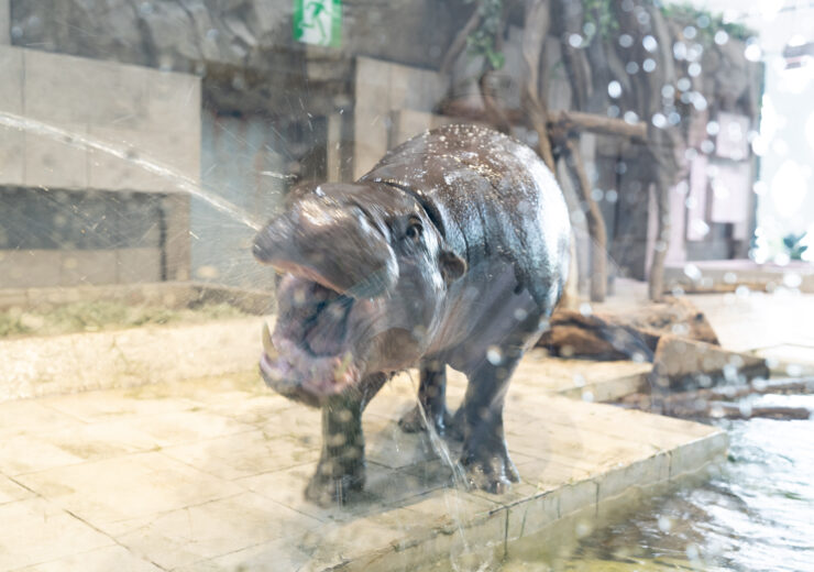 sagara’s nice time