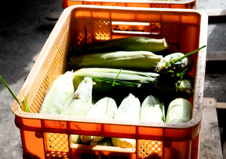 yamamoto’s nice time