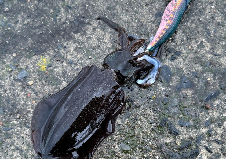 yamamoto’s nice time